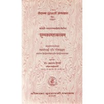 Shubhbhavadhamahakavyam शुम्भवधमहाकाव्यम्